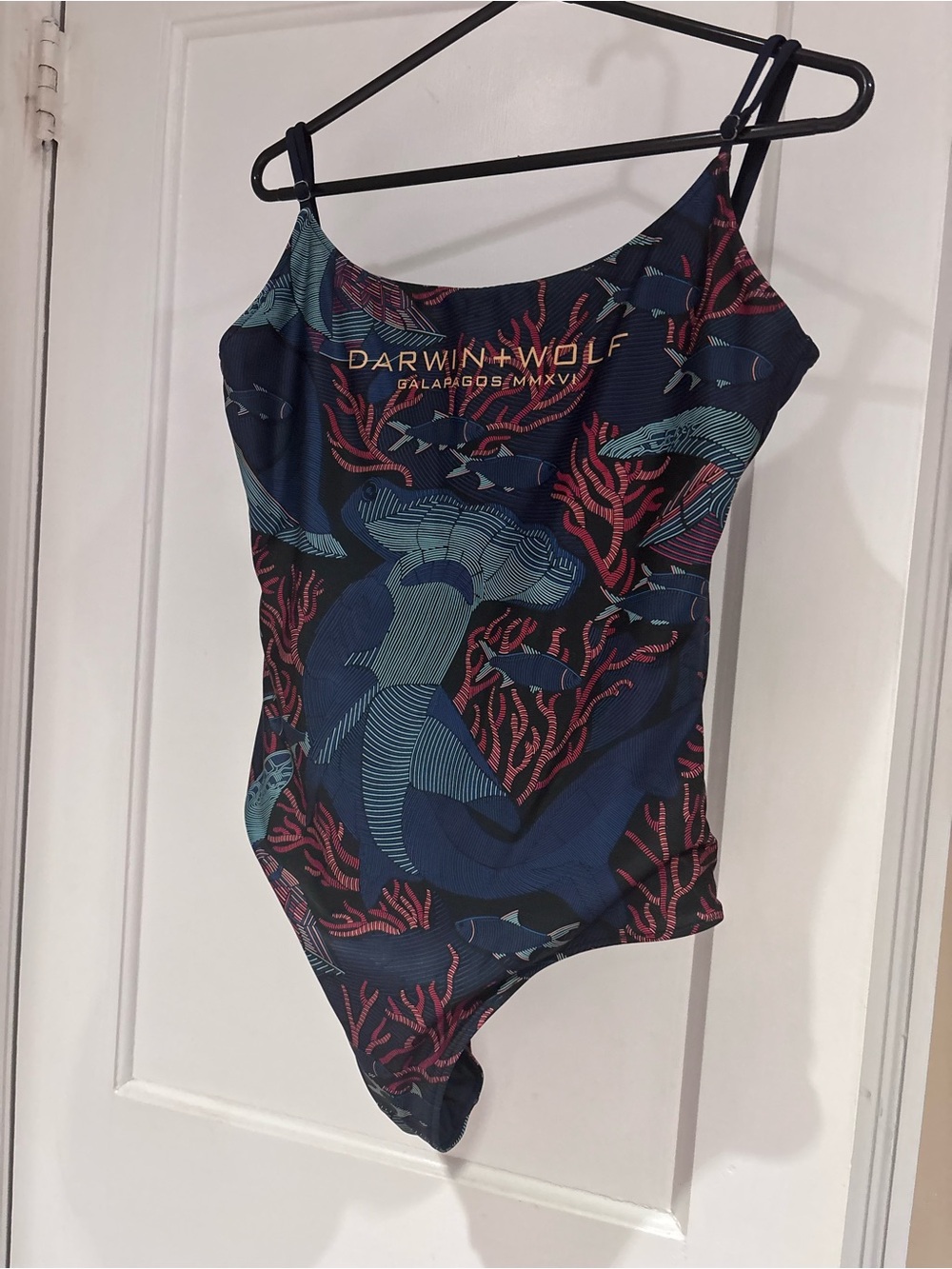 Darwin + Wolf Navy Painted Reef One-Piece Swimsuit